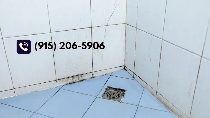 El Paso Mold Specialists Picture 4