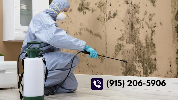 El Paso Mold Specialists Picture 5