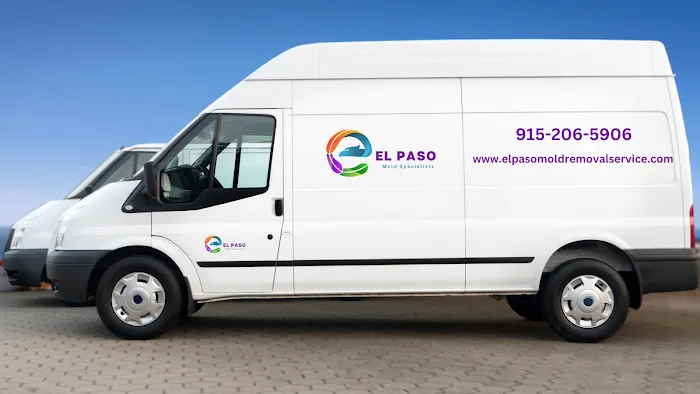 El Paso Mold Specialists Picture 9