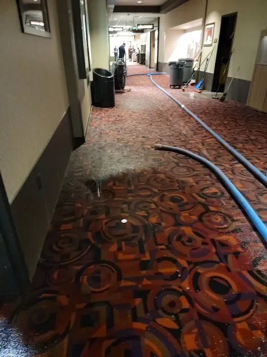 Jimmy Garza Emergency Water Removal Picture 9