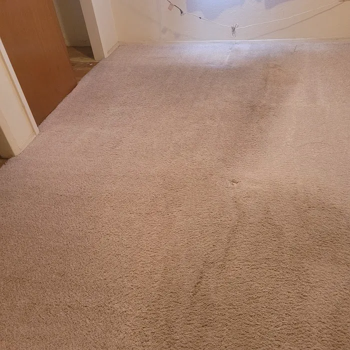 Stanley Steemer Picture 6