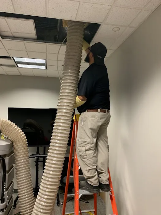 Stanley Steemer Picture 4