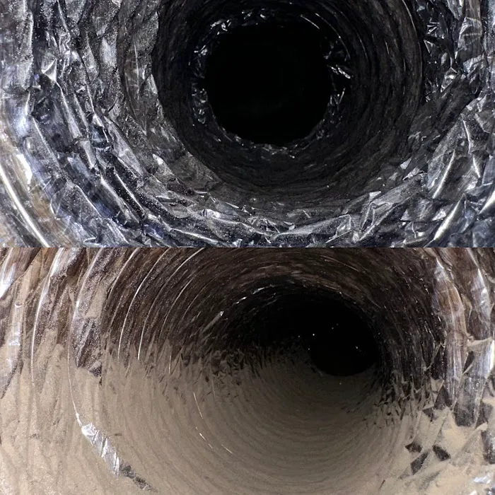 Stanley Steemer Picture 5