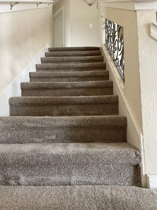 Stanley Steemer Picture 3