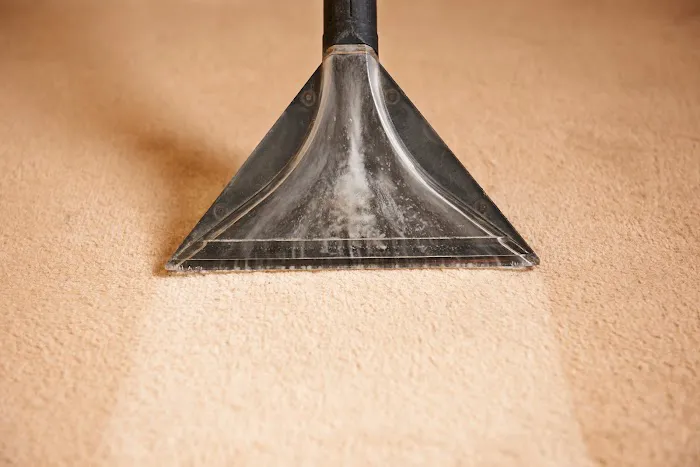 Steamway Carpet Cleaning Picture 8