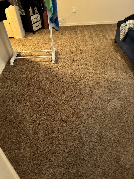 Steamway Carpet Cleaning Picture 10