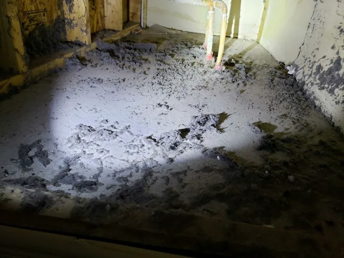 XTREME CARPET AND UPHOLSTERY CLEANING Picture 2