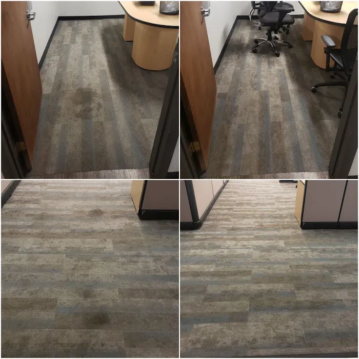 XTREME CARPET AND UPHOLSTERY CLEANING Picture 10