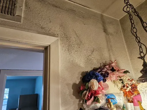 American Restoration Picture 5