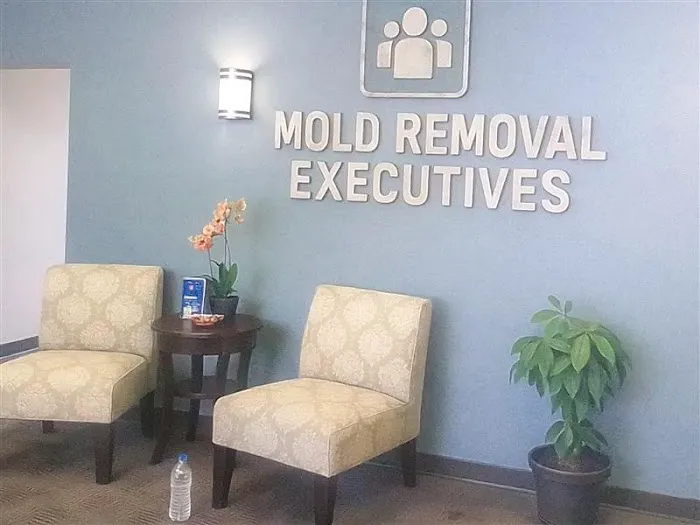 Mold Removal Executives - El Paso Picture 1