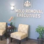 Mold Removal Executives - El Paso