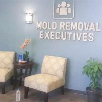 Mold Removal Executives - El Paso ico