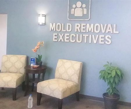 Mold Removal Executives - El Paso