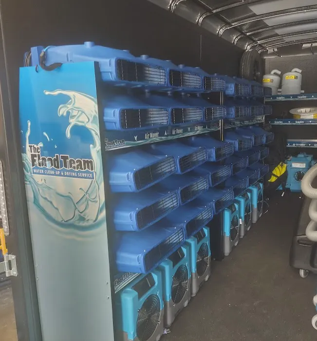 The Flood Team Picture 9