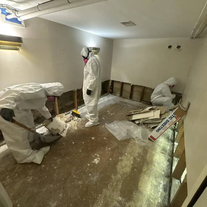 St. Louis Cleaning and Restoration Picture 7