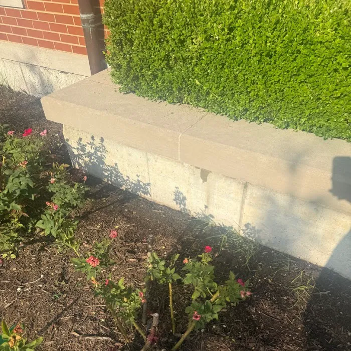 St. Louis Cleaning and Restoration Picture 10