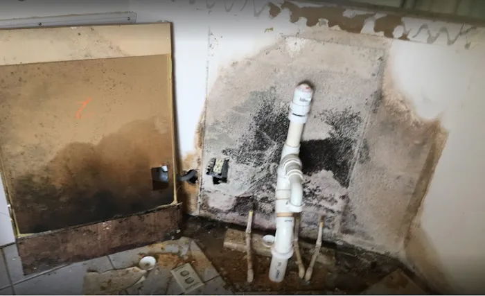 Restoration 1 of Central St. Louis Picture 10