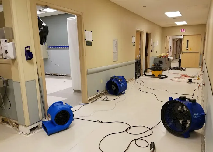 Restoration 1 of Central St. Louis Picture 7