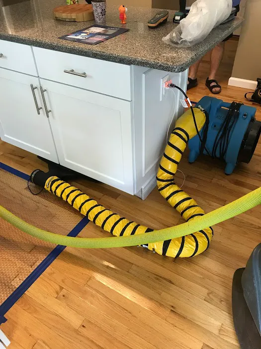 Restoration 1 of Central St. Louis Picture 5