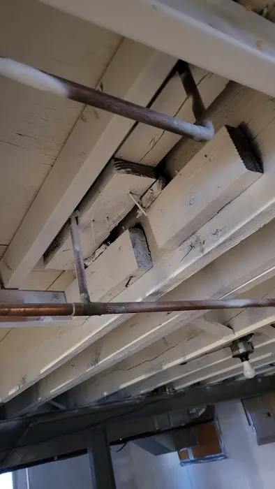 Wellington Environmental Picture 4