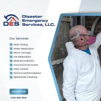 Disaster Emergency Services, LLC (Water Restoration) ico