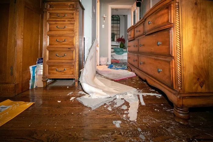 H2O Damage Pros Picture 9