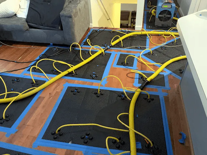 The Flood Team Picture 2