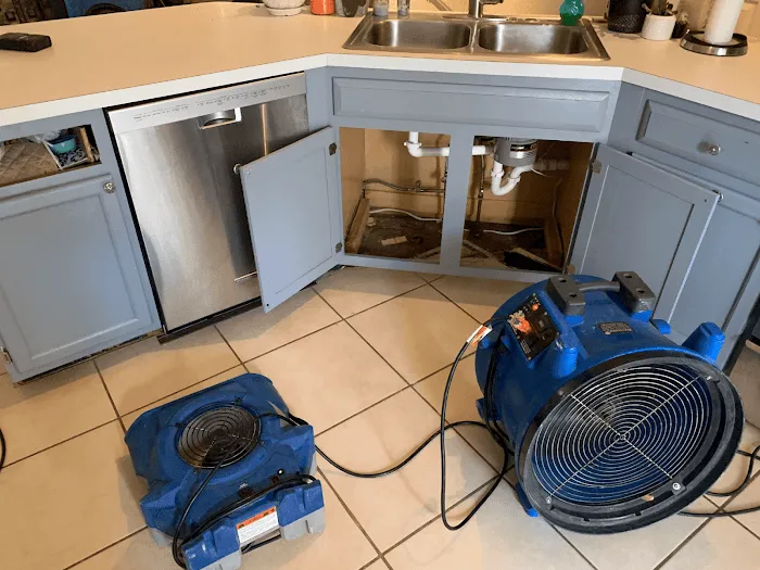 The Flood Team Picture 9