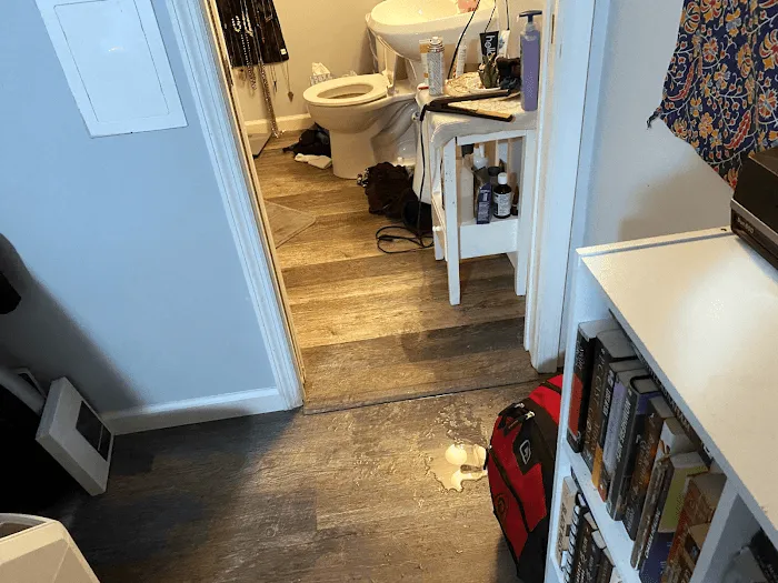 The Flood Team Picture 8