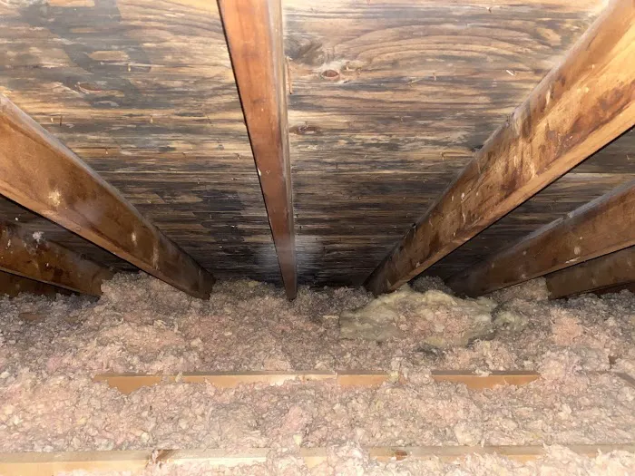 Mold Solutions Picture 7