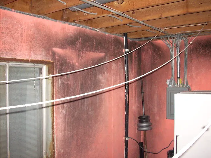 Mold Solutions Picture 6