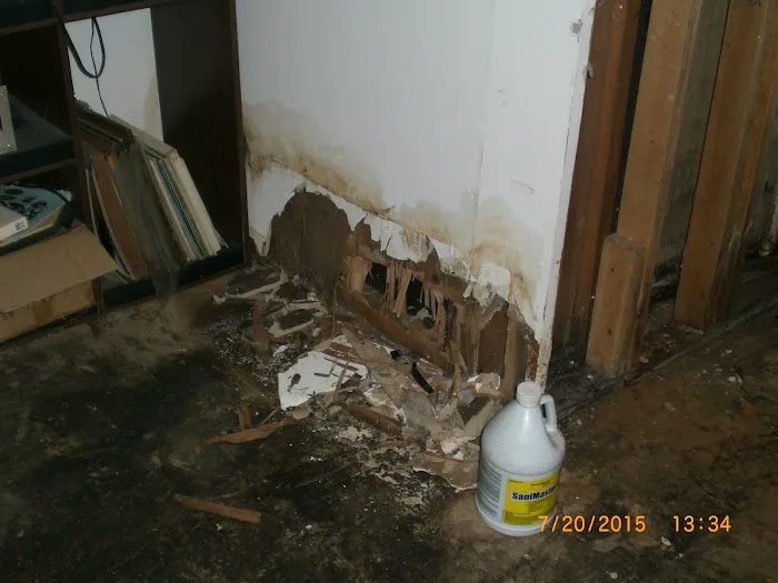 Moldman St. Louis Picture 10