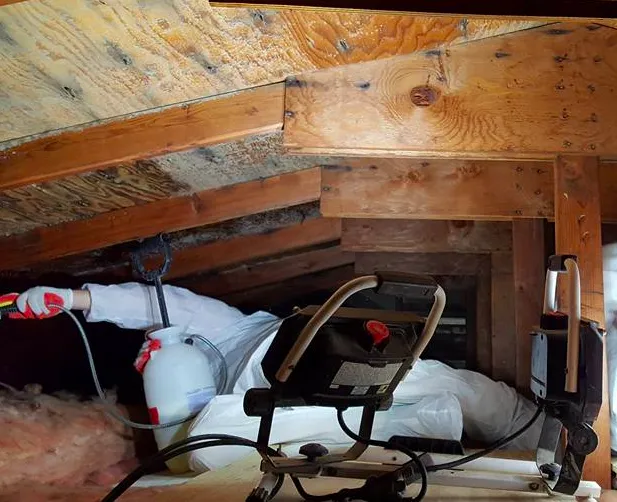 Moldman St. Louis Picture 5