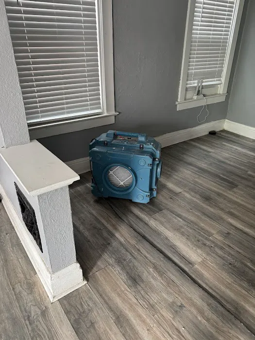 Moldman St. Louis Picture 4