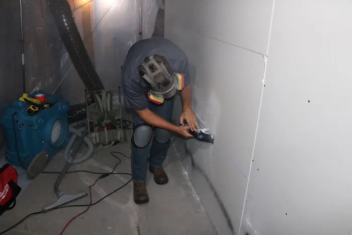 Moldman St. Louis Picture 6