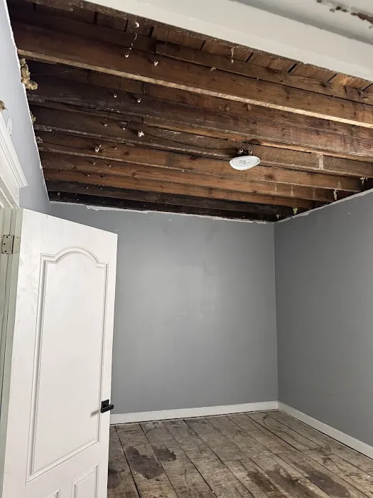 Moldman St. Louis Picture 1