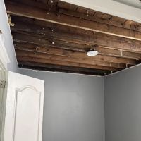 Moldman St. Louis ico