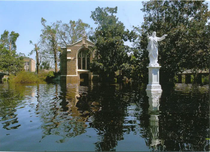 FIRST ONSITE Property Restoration Picture 8