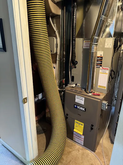 Stanley Steemer Picture 4