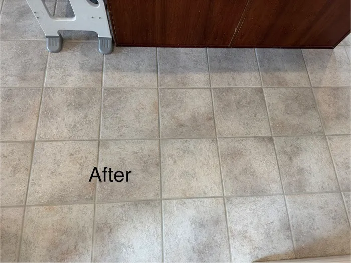 Stanley Steemer Picture 5