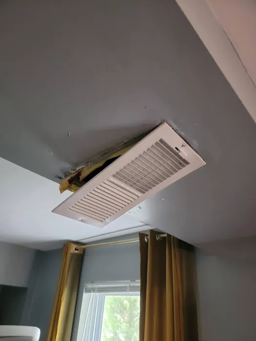 Stanley Steemer Picture 1