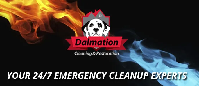 Dalmation Cleaning and Restoration Services Picture 3