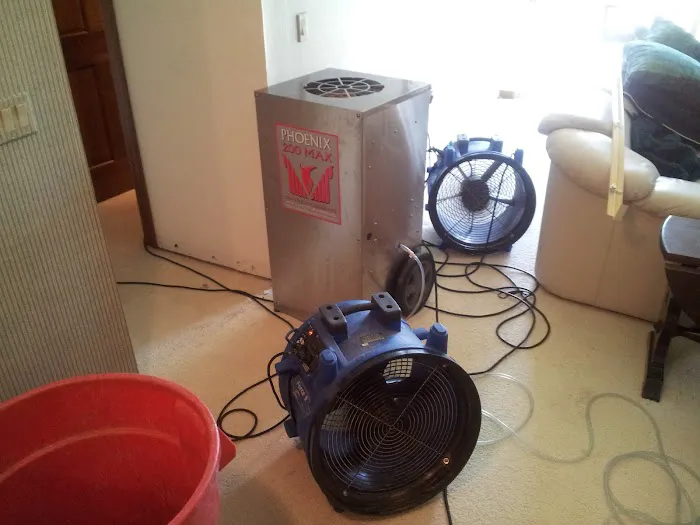 Dalmation Cleaning and Restoration Services Picture 2