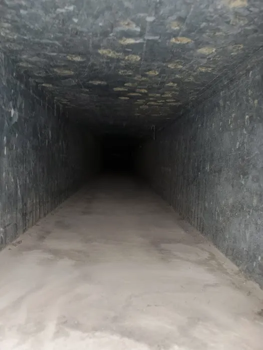 Dalmation Cleaning and Restoration Services Picture 5