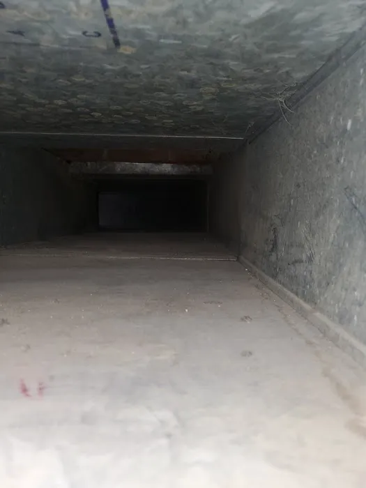 Dalmation Cleaning and Restoration Services Picture 4