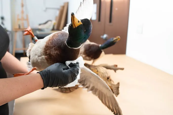 Prism Specialties of Greater St. Louis Picture 1