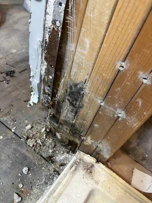 Best Option Restoration of West County Picture 5