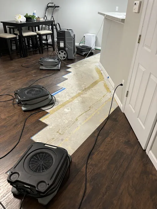 Best Option Restoration of West County Picture 4