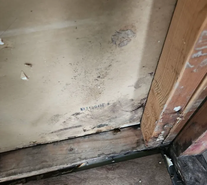 Sansara 24/7 Restoration & Remodeling Picture 2