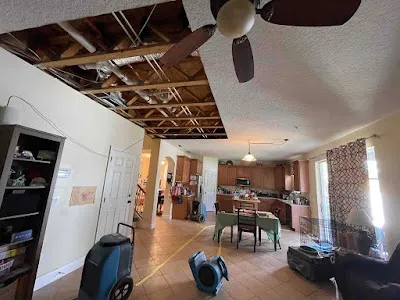 PrimeFlood Picture 6